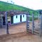 Fazenda Mato dos Porcos