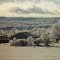 Ice Storm