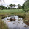 CABECEIRA DO SALTO