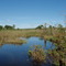 CABECEIRA DA BOA VISTA