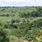 CABECEIRA DA BOA VISTA