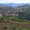 Ubá / MG - Bairro do Louriçal