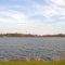 Forest Lake, Florence SC 2006