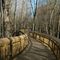 Boardwalk off rail trail