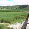 Ponte - BR 101