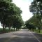 Rodovia AL - 220,Chegando em Campo Alegre