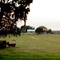 Montgomery Evening