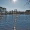 Lake Forest Lodge