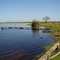 margem lago primavera