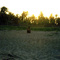 03/02 - Entardecer, Lagoa do Pau, AL - BR