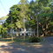 Dendrologia UFV