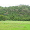 PAISAGEM