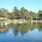 Parque das Águas Cambuquira-MG