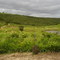 Fazenda Campinhos