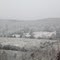 Snow in the Back Yard