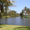 Lagoa e coqueiros