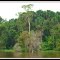 Ilha do Marajó - Pará