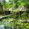 Comunidade São Pedro -Breves - Ilha do Marajó - Pará - Brasil