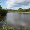 Lagoa