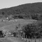 paisagem rural