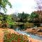 Spring 2005 331-1