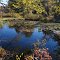 Whitney Pond in Groton, Massachusetts
