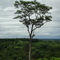 Vista Panorâmica