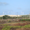 Geradores de Energia Aeólica em Aquiraz. Novembro/08
