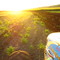 por do sol na fazenda em Amambai-MS