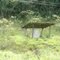 Cupinzeiro folgado na Fazenda Goianas