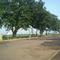 Graal Barreirense - Cordeiropolis - SP