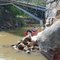 Ponte caida sobre o Rio Machado