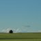 Home on the Range