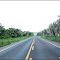 ROD. BR - 316 ENTRE CODÓ E CAXIAS - MA