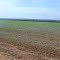 Cadastro de Compromisso Socioambiental - Fazenda Concórdia - Cadastrada desde 2009