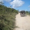 Pegando a Trilha para Praia do Carro Quebrado - Barra de Sto Antonio - Alagoas - Brasil