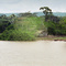 The Amazon