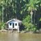 piccola Casa nel rio Amazonia