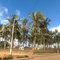 Parque do Babaçu