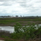 Município de Pinheiro - MA