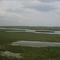 Rio Pericumã