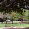 Parque-Cocó 005