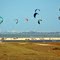 Kites