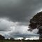 Arvore de Sucupira e tempestade a caminho
