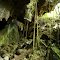Gruta, Fazenda do Sídio, Galena, Presidente Olegário, Minas Gerais, Brasil