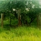 Tronqueira