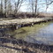 Troubled bridge over murky water