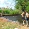 Bueiro - Balneário.