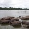 Rio Xingu, Altamira - PA