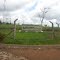 PA-415 / Altamira / Vitória do Xingú